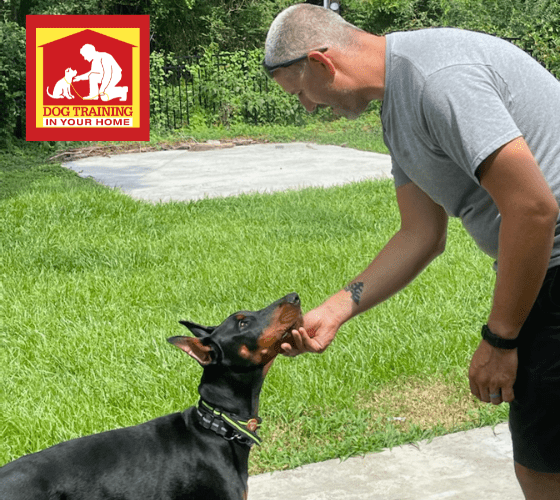 Stephen Dailey bio pic Stephen Dailey bio pic